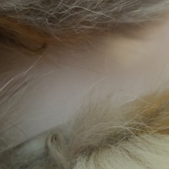 Vintage Emporium-Capwell Fur Jacket - Picture 4 of 16